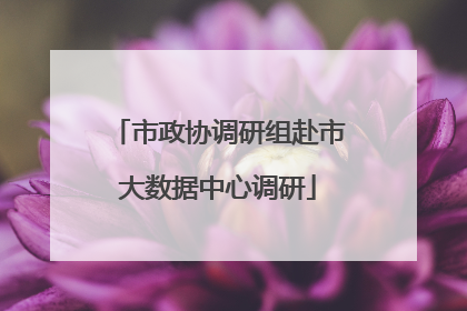市政协调研组赴市大数据中心调研