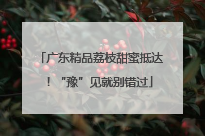 广东精品荔枝甜蜜抵达！“豫”见就别错过