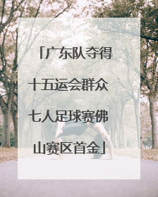 广东队夺得十五运会群众七人足球赛佛山赛区首金