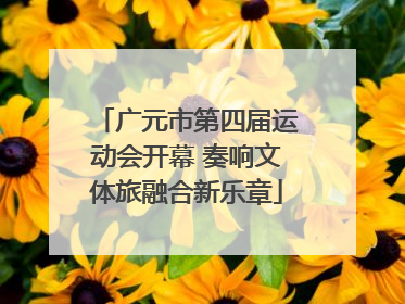 广元市第四届运动会开幕 奏响文体旅融合新乐章