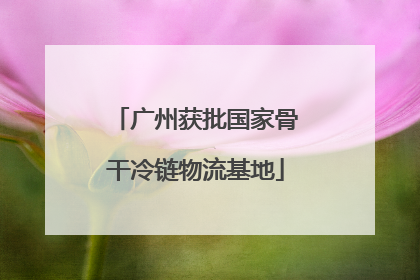 广州获批国家骨干冷链物流基地