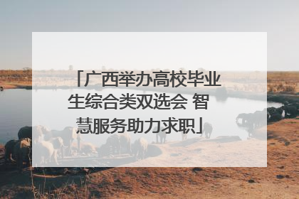 广西举办高校毕业生综合类双选会 智慧服务助力求职