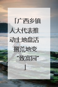广西乡镇人大代表推动土地盘活 撂荒地变“致富园”