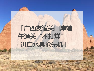 广西友谊关口岸端午通关“不打烊” 进口水果抢先机