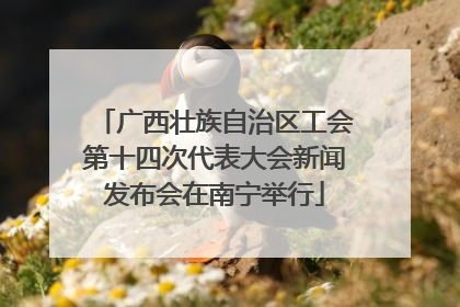 广西壮族自治区工会第十四次代表大会新闻发布会在南宁举行