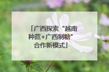 广西探索“越南种蔗+广西制糖”合作新模式
