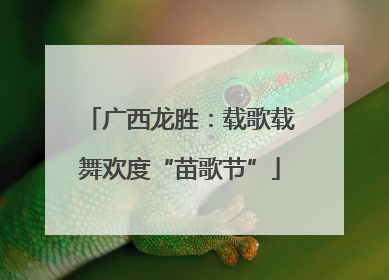 广西龙胜：载歌载舞欢度“苗歌节”