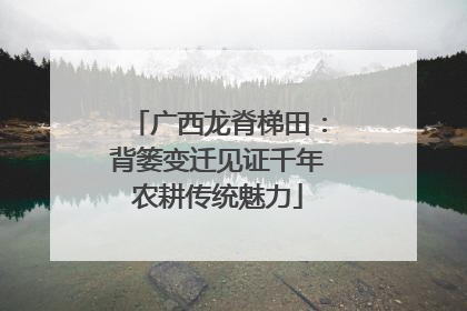 广西龙脊梯田：背篓变迁见证千年农耕传统魅力