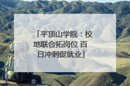 平顶山学院：校地联合拓岗位 百日冲刺促就业