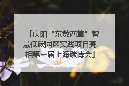 庆阳“东数西算”智慧低碳园区实践项目亮相第三届上海碳博会