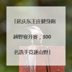 延庆东王庄健身跑越野赛开赛，300名选手竞逐山野