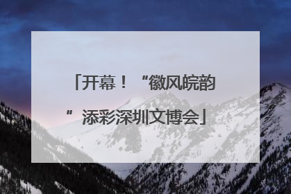 开幕！“徽风皖韵”添彩深圳文博会
