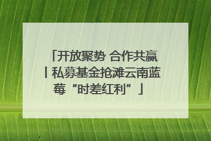 开放聚势 合作共赢丨私募基金抢滩云南蓝莓“时差红利”