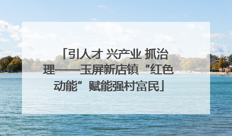 引人才 兴产业 抓治理——玉屏新店镇“红色动能”赋能强村富民