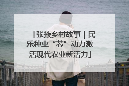 张掖乡村故事｜民乐种业“芯”动力激活现代农业新活力
