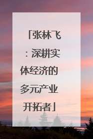张林飞：深耕实体经济的多元产业开拓者