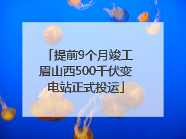 提前9个月竣工 眉山西500千伏变电站正式投运