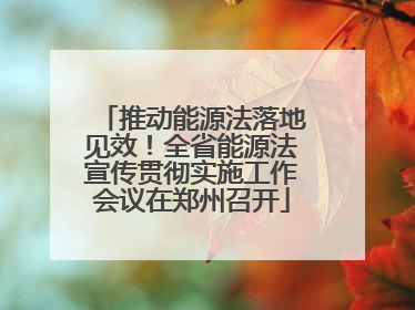 推动能源法落地见效！全省能源法宣传贯彻实施工作会议在郑州召开