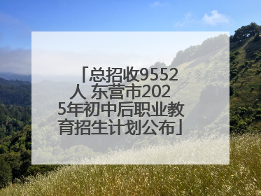 总招收9552人 东营市2025年初中后职业教育招生计划公布