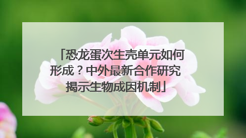 恐龙蛋次生壳单元如何形成？中外最新合作研究揭示生物成因机制