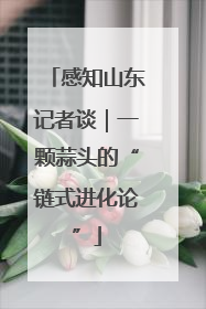 感知山东记者谈｜一颗蒜头的“链式进化论”