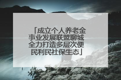 成立个人养老金事业发展联盟聊城全力打造多层次便民利民社保生态