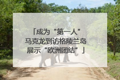 成为“第一人” 马克龙到访格陵兰岛展示“欧洲团结”