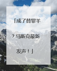 成了替罪羊？马斯克最新发声！