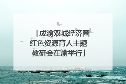 成渝双城经济圈红色资源育人主题教研会在渝举行