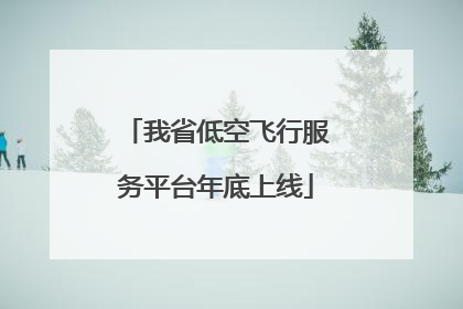 我省低空飞行服务平台年底上线