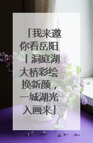 我来邀你看岳阳丨洞庭湖大桥彩绘换新颜，一城湖光入画来