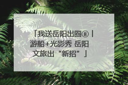 我送岳阳出圈⑧丨游船+光影秀 岳阳文旅出“新招”