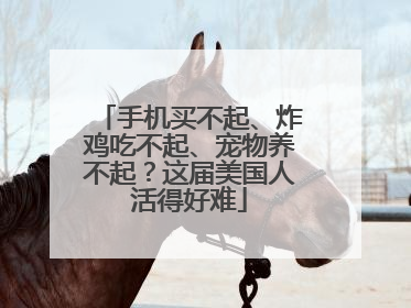 手机买不起、炸鸡吃不起、宠物养不起？这届美国人活得好难