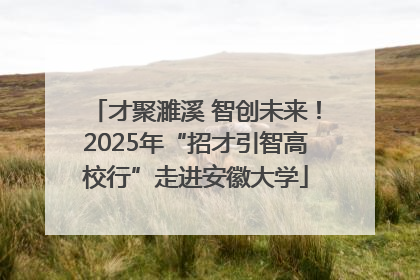 才聚濉溪 智创未来！2025年“招才引智高校行”走进安徽大学