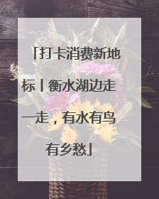 打卡消费新地标丨衡水湖边走一走，有水有鸟有乡愁