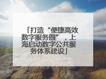 打造“便捷高效数字服务圈”，上海启动数字公共服务体系建设