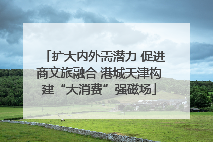 扩大内外需潜力 促进商文旅融合 港城天津构建“大消费”强磁场