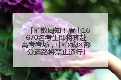 扩散周知！眉山16670名考生即将奔赴高考考场，中心城区部分道路将禁止通行