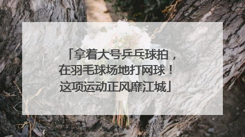 拿着大号乒乓球拍，在羽毛球场地打网球！这项运动正风靡江城