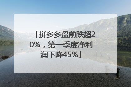 拼多多盘前跌超20%，第一季度净利润下降45%