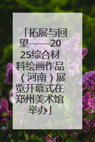 拓展与回望——2025综合材料绘画作品（河南）展览开幕式在郑州美术馆举办
