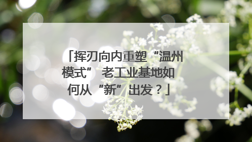 挥刃向内重塑“温州模式” 老工业基地如何从“新”出发？