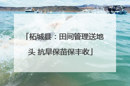 柘城县：田间管理送地头 抗旱保苗保丰收