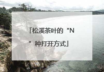 松溪茶叶的“N”种打开方式