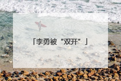李勇被“双开”