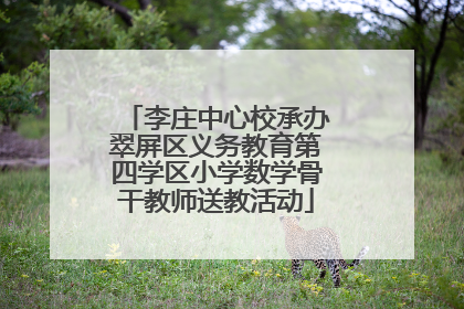 李庄中心校承办翠屏区义务教育第四学区小学数学骨干教师送教活动