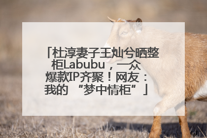 杜淳妻子王灿兮晒整柜Labubu，一众爆款IP齐聚！网友：我的 “梦中情柜”