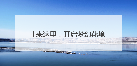 来这里，开启梦幻花境之旅！滨江森林公园绣球花展邀你共赴一场与云朵、花儿的浪漫之约