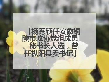 杨秀颀任安徽铜陵市政协党组成员、秘书长人选，曾任枞阳县委书记