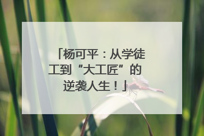 杨可平：从学徒工到“大工匠”的逆袭人生！